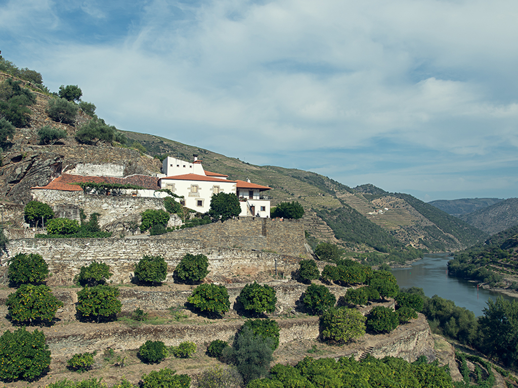 quinta do castelinho